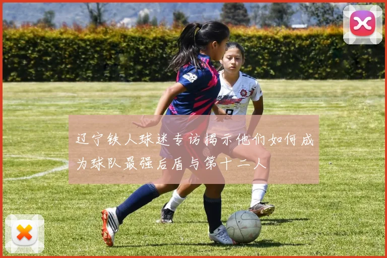 辽宁铁人球迷专访揭示他们如何成为球队最强后盾与第十二人