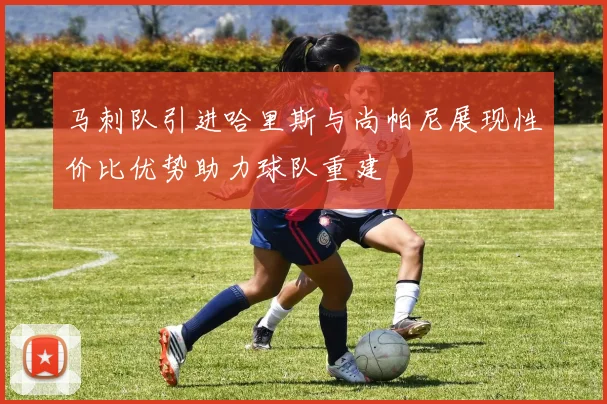 马刺队引进哈里斯与尚帕尼展现性价比优势助力球队重建